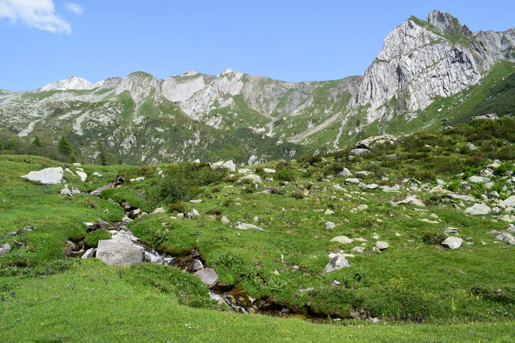 La Valle di Stabio: paradiso misconosciuto (Parco dell''Adamello)