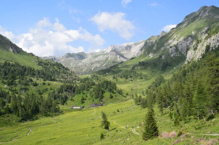 La Valle di Stabio: paradiso misconosciuto (Parco dell''Adamello)