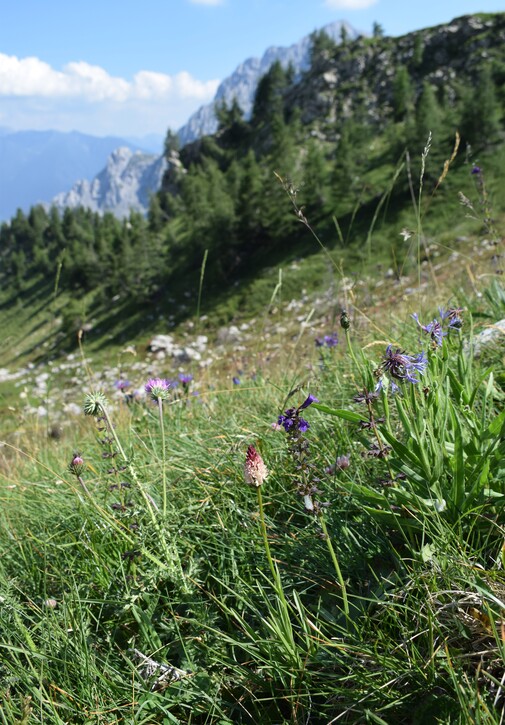 Esplorando la Conca dei Campelli (Val di Scalve)