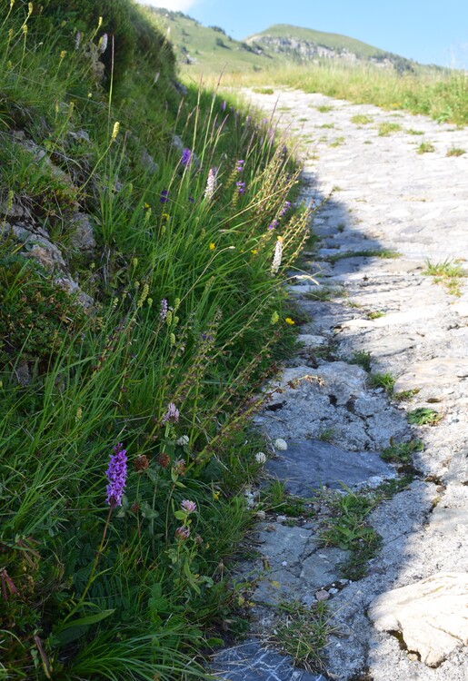 Esplorando la Conca dei Campelli (Val di Scalve)