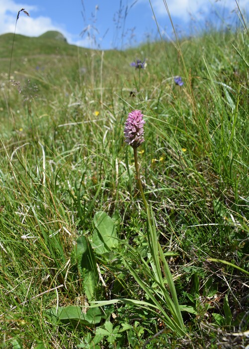 Esplorando la Conca dei Campelli (Val di Scalve)