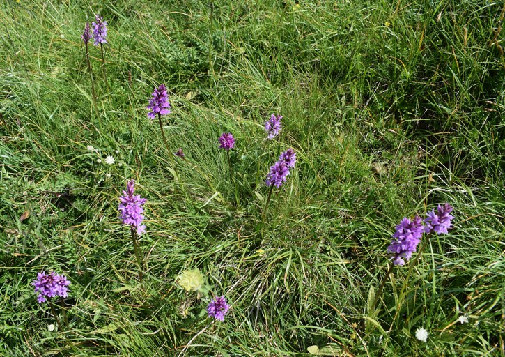 Esplorando la Conca dei Campelli (Val di Scalve)