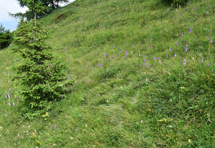 Esplorando la Conca dei Campelli (Val di Scalve)