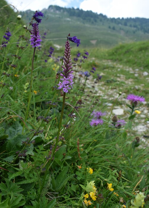 Esplorando la Conca dei Campelli (Val di Scalve)