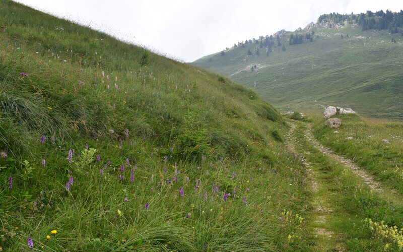 Esplorando la Conca dei Campelli (Val di Scalve)