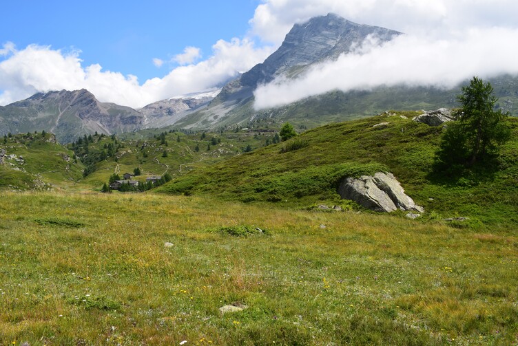 Gli ibridi di Passo Sempione (Canton Vallese, Svizzera)