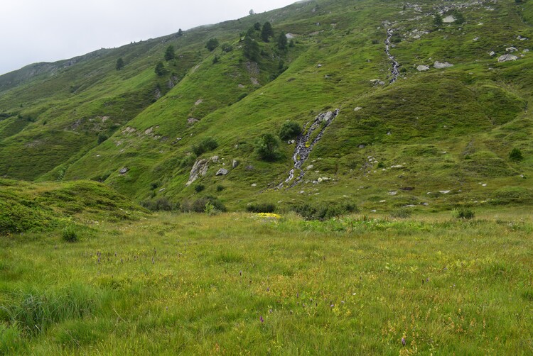 Gli ibridi di Passo Sempione (Canton Vallese, Svizzera)