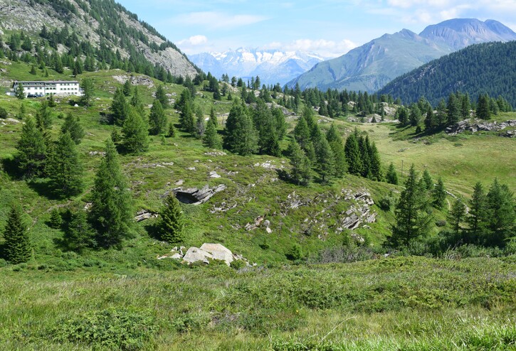 Gli ibridi di Passo Sempione (Canton Vallese, Svizzera)