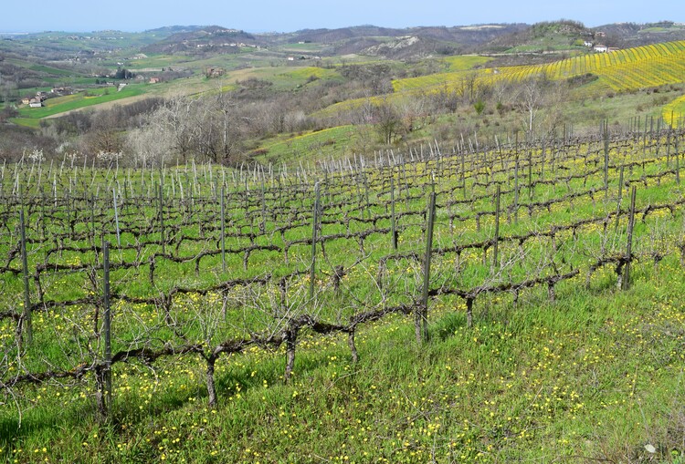 Le Barlie degli Appennini (da Pavia a Bologna)