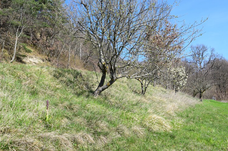 Le Barlie degli Appennini (da Pavia a Bologna)