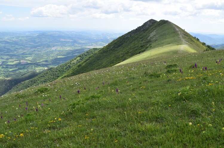 Nel grandioso Monte Catria (Appennino Umbro-Marchigiano)