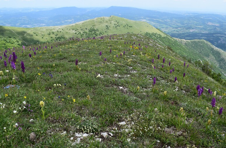 Nel grandioso Monte Catria (Appennino Umbro-Marchigiano)