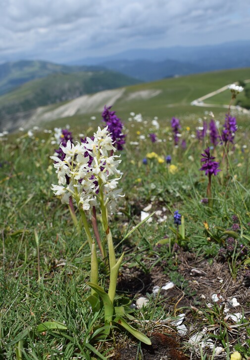 Nel grandioso Monte Catria (Appennino Umbro-Marchigiano)