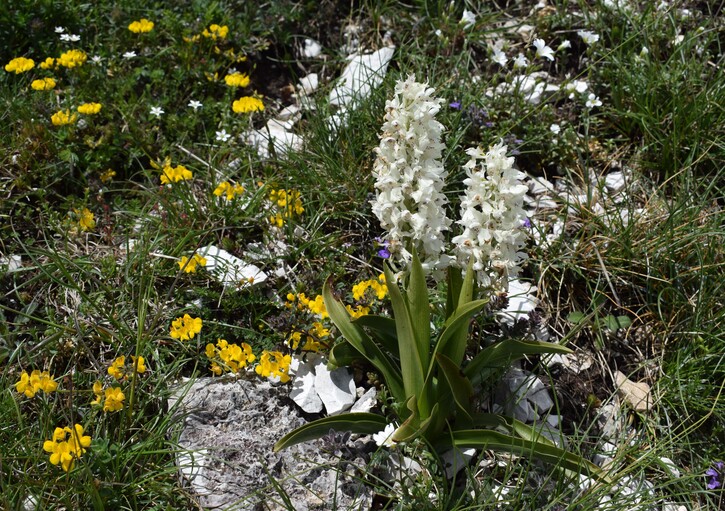 Nel grandioso Monte Catria (Appennino Umbro-Marchigiano)