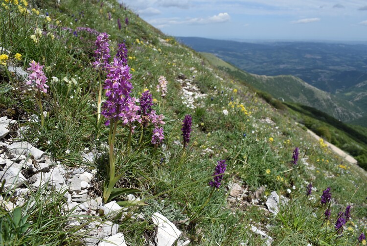 Nel grandioso Monte Catria (Appennino Umbro-Marchigiano)