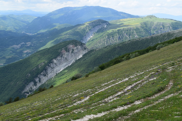 Nel grandioso Monte Catria (Appennino Umbro-Marchigiano)