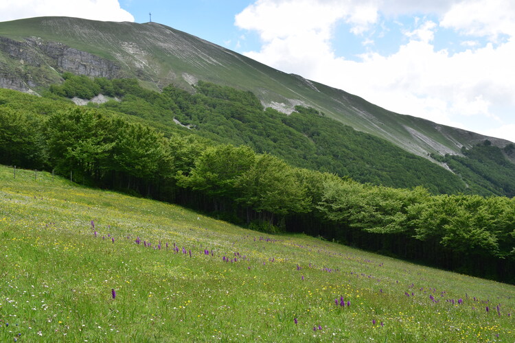 Nel grandioso Monte Catria (Appennino Umbro-Marchigiano)