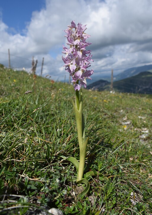 Nel grandioso Monte Catria (Appennino Umbro-Marchigiano)