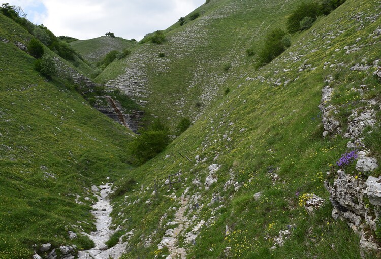 Le entusiasmanti fioriture di Monte Nerone (Appennino Umbro-Marchigiano)