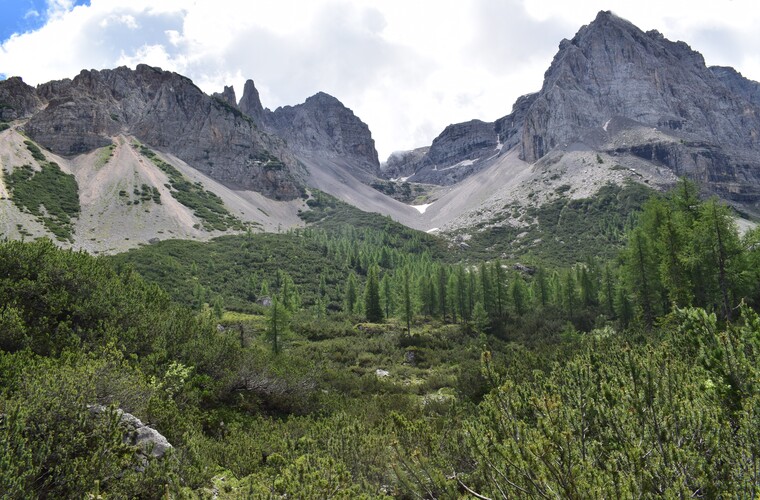 Sulle orme di Giampaolo... Nigritella widderi in Brenta