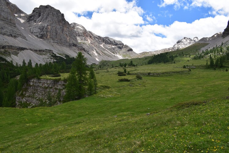 Sulle orme di Giampaolo... Nigritella widderi in Brenta