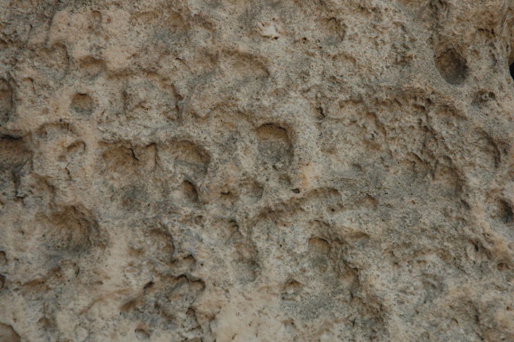 Roccia biancastra lavorata dell''ingresso di sant''Ambrogio..cos''?