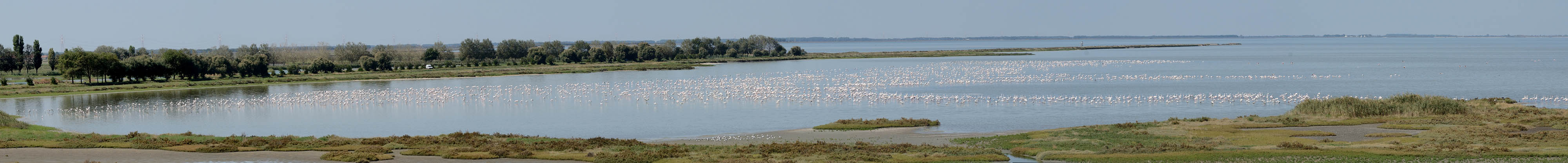 un giretto nel Delta del Po...