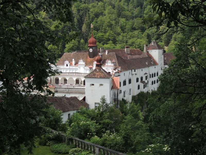 Marpissa muscosa - Schloss Herberstein (Austria)