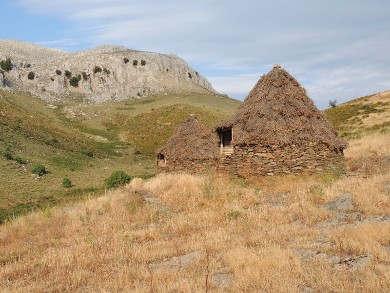 Un giro per cercare Limax (2007-2015)