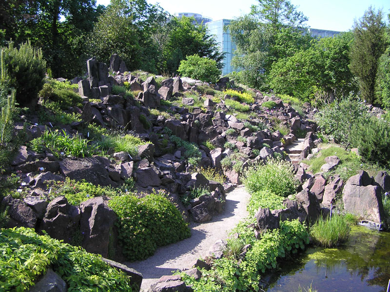 Una passegiata botaniche nel  Giardino Botanico a Dresda