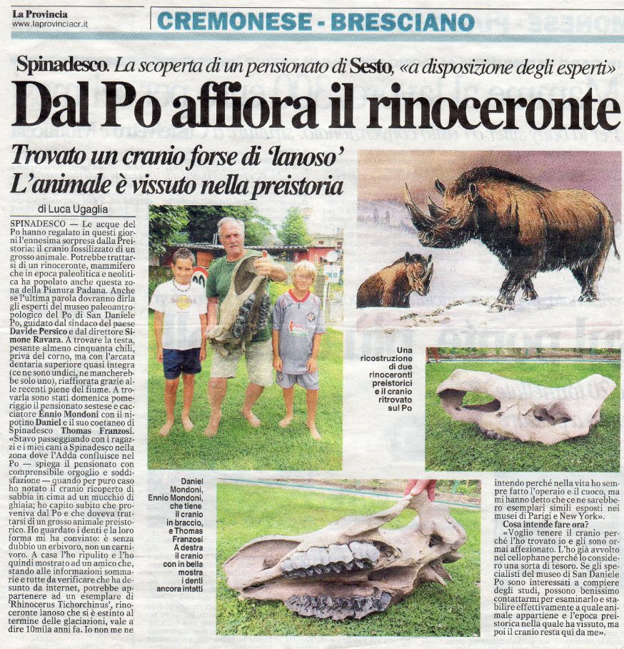 Cremona - Dal Po affiora il rinoceronte