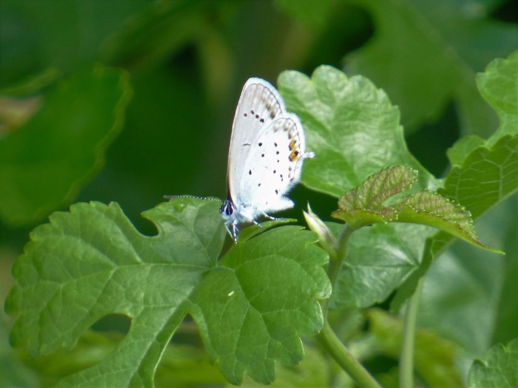 a spasso per Rivoli (TO)