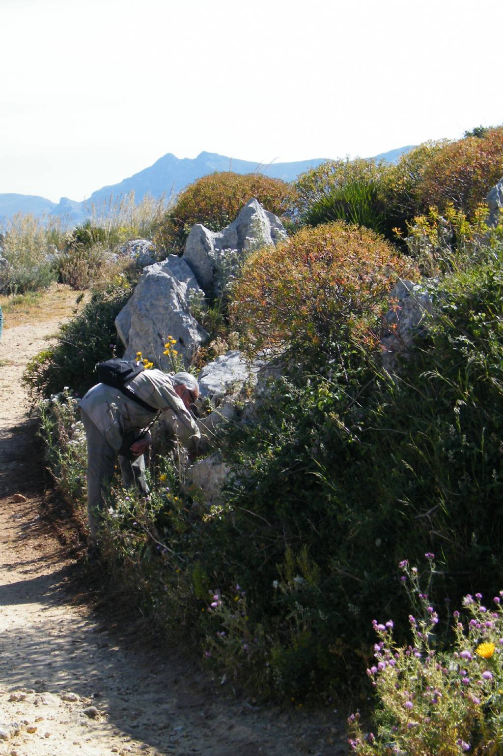 Escursione a Custonaci e San Vito