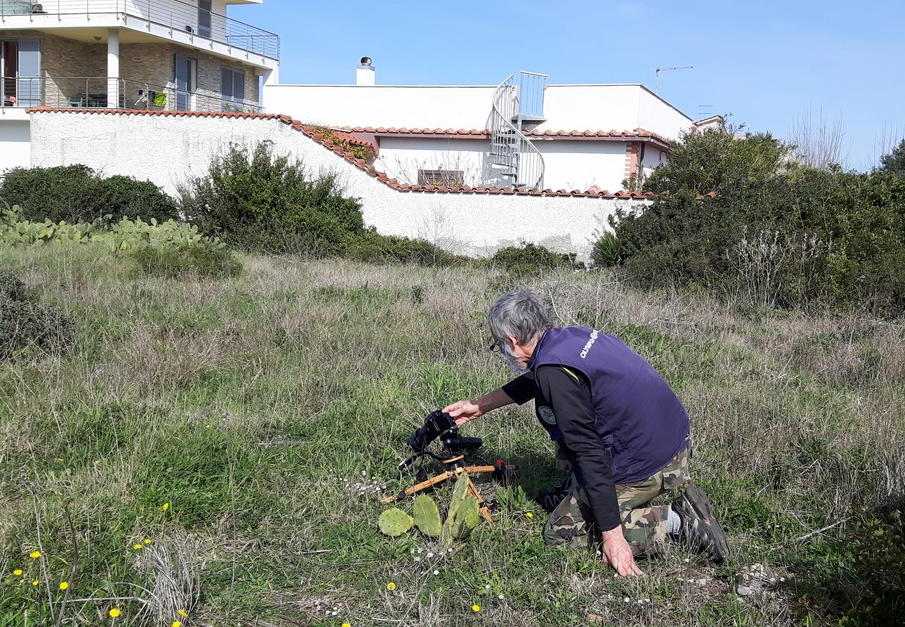 Le splendide Ophrys del litorale romano - marzo 2016