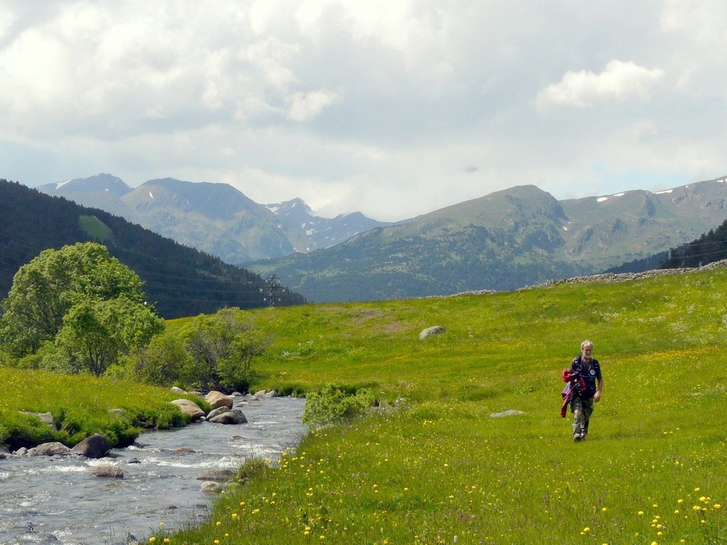 Nigritella gabasiana - Andorra e Catalogna 25_29 giugno 2016