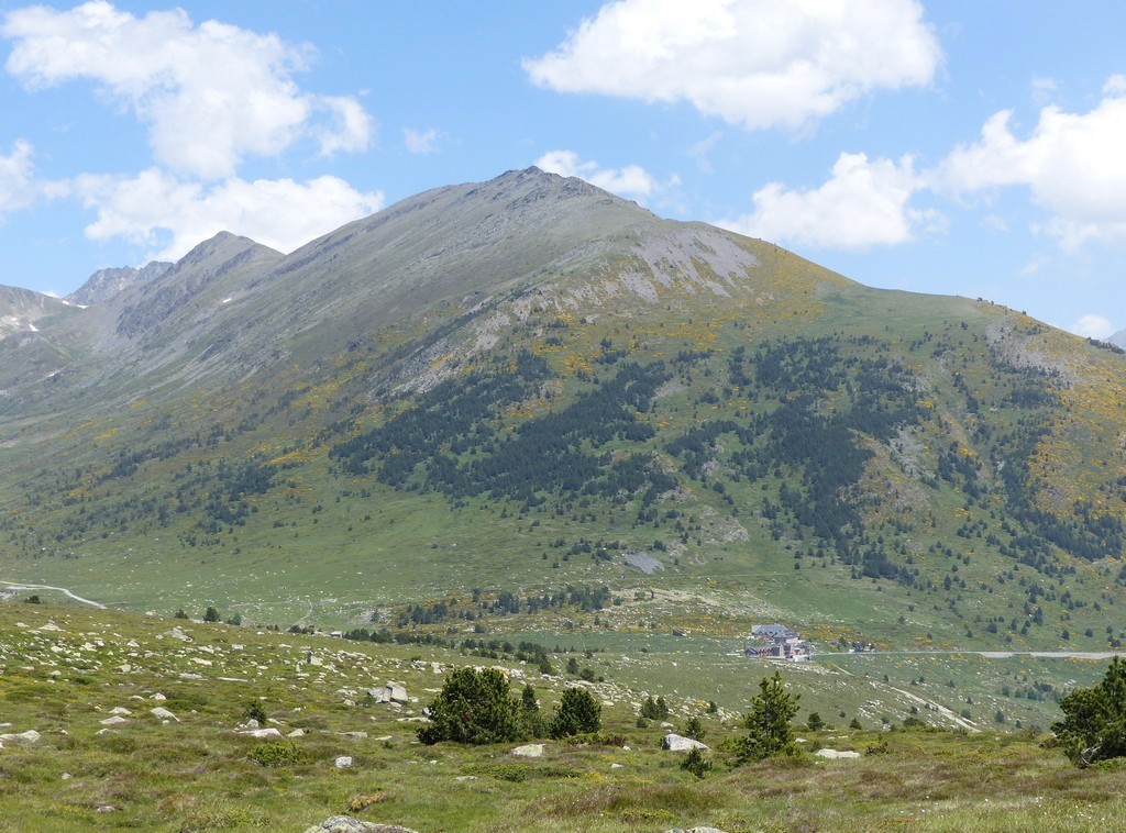 Nigritella gabasiana - Andorra e Catalogna 25_29 giugno 2016