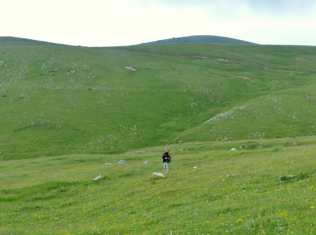 Nigritella gabasiana - Andorra e Catalogna 25_29 giugno 2016