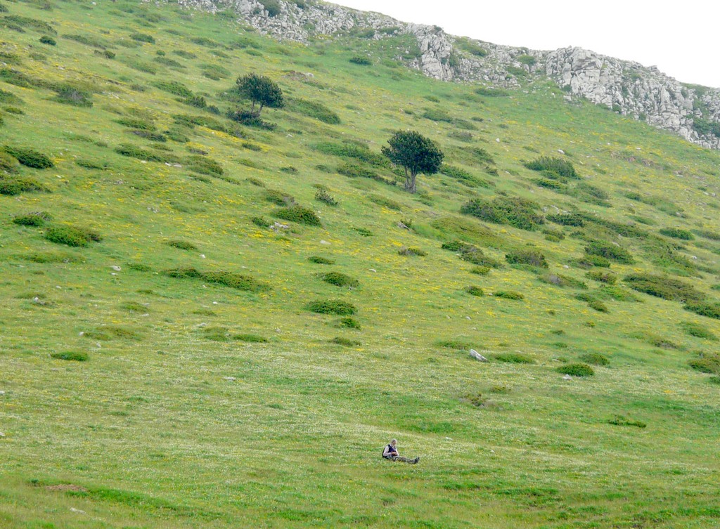 Nigritella gabasiana - Andorra e Catalogna 25_29 giugno 2016