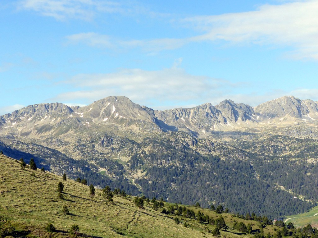 Nigritella gabasiana - Andorra e Catalogna 25_29 giugno 2016