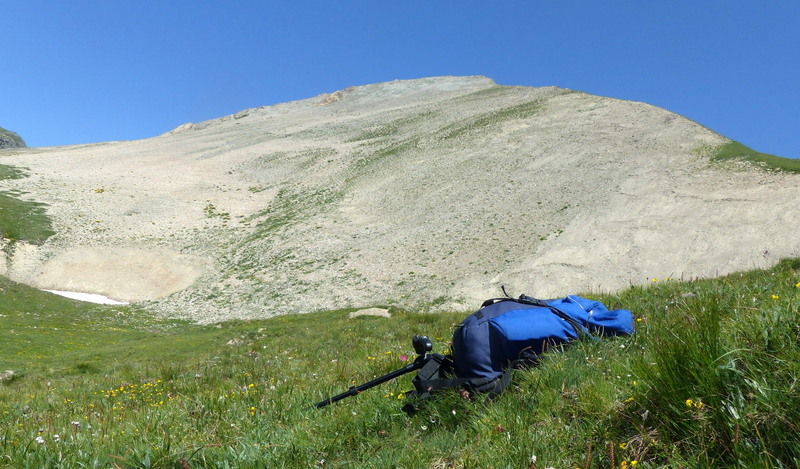 Nigritella corneliana nella splendida e selvaggia Val Maira (CN) luglio 2024.