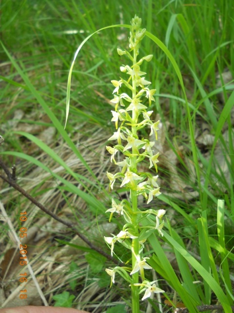 Tra Val di Vara e val Graveglia