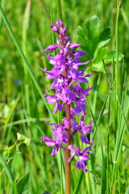 Tra Val di Vara e val Graveglia