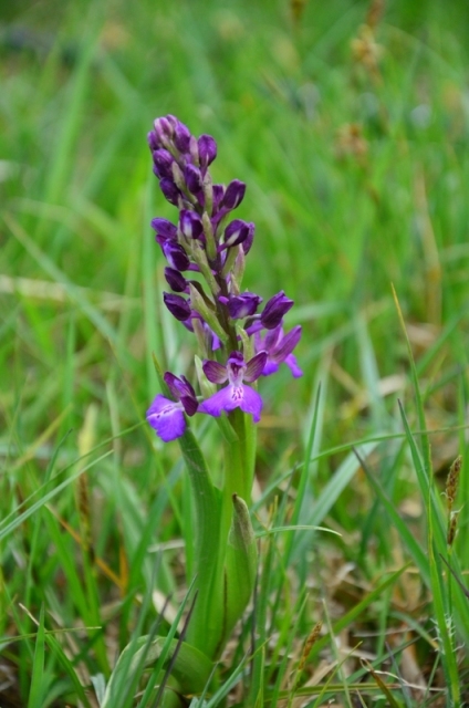 Tra Val di Vara e val Graveglia