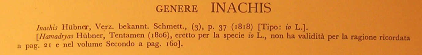 Aglais o Inachis io?