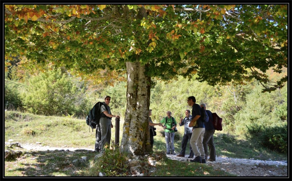 Natura Mediterraneo festeggia i 10 anni!! Raduno NM