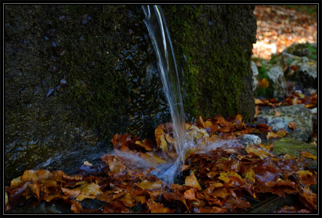 Natura Mediterraneo festeggia i 10 anni!! Raduno NM