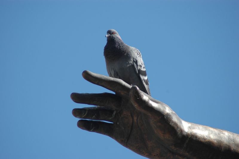 Animali a Roma nello zoo di Pietra 2