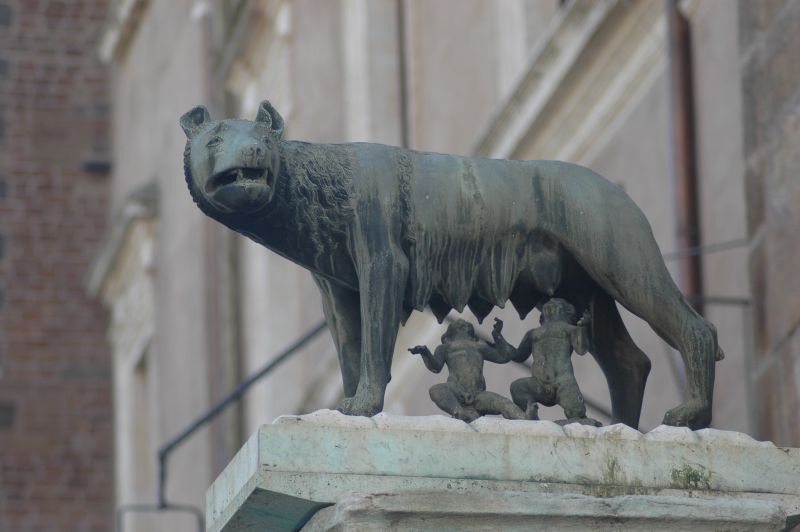 Animali a Roma nello zoo di Pietra 2