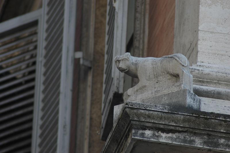 Animali a Roma nello zoo di Pietra 2