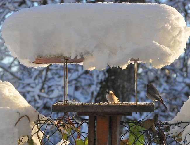 la prima neve